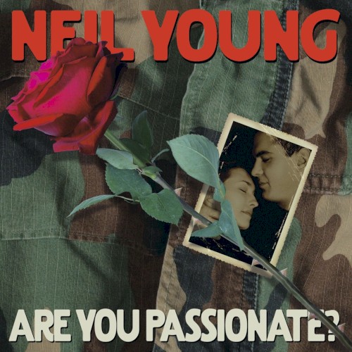 Are You Passionate?封面