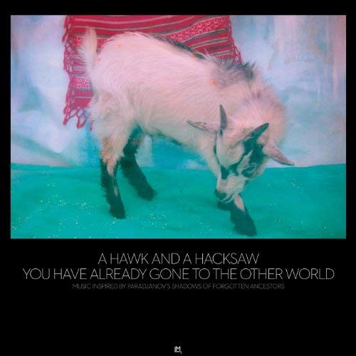 You Have Already Gone to the Other World封面