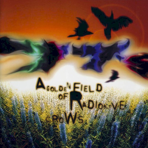 A Golden Field of Radioactive Crows封面