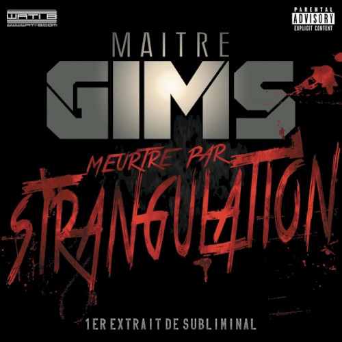 Meurtre par strangulation封面