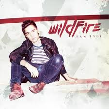 Wildfire封面