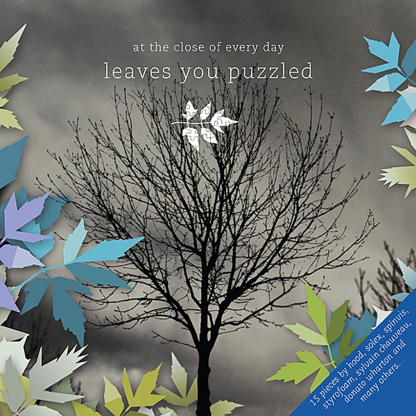 Leaves You Puzzled封面