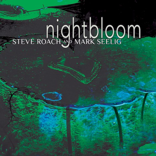 Nightbloom封面
