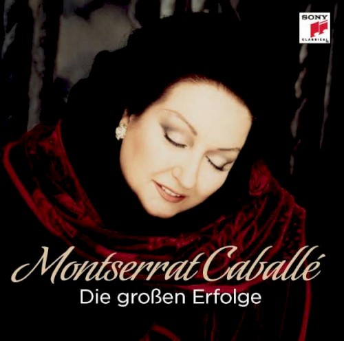 Die Großen Erfolge封面