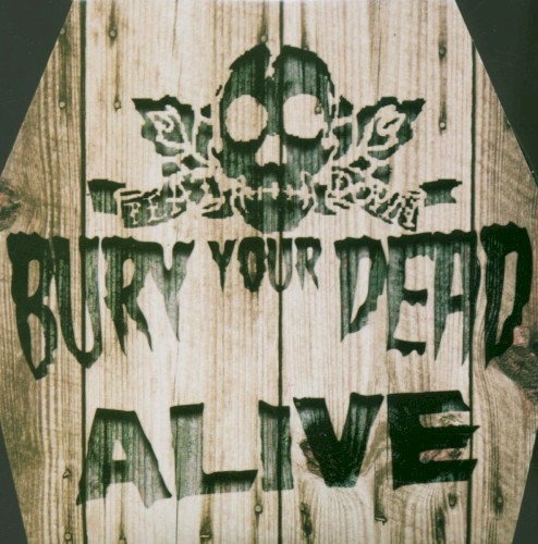 Alive封面