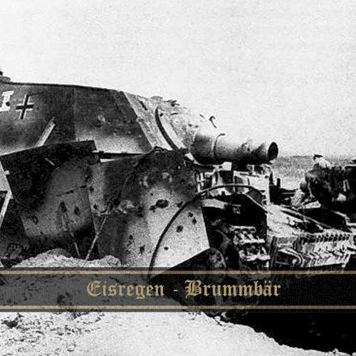 Brummbär封面