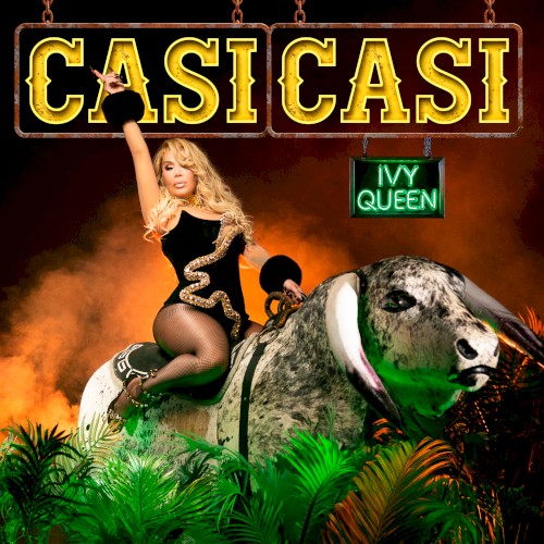 CASI CASI封面
