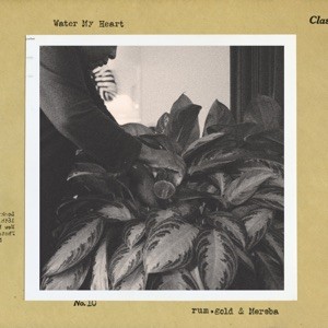 Water My Heart封面