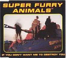 If You Don’t Want Me to Destroy You封面