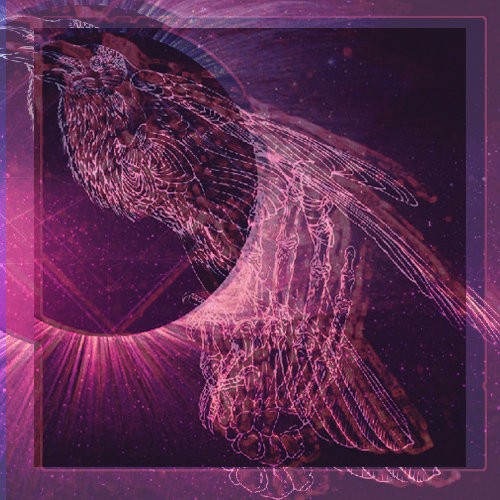 GLACIERS//MELTED封面
