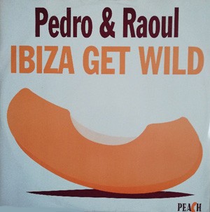 Ibiza Get Wild封面