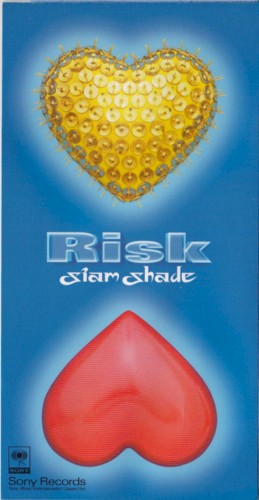 RISK封面