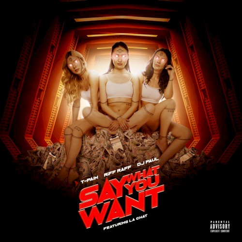 Say What You Want封面