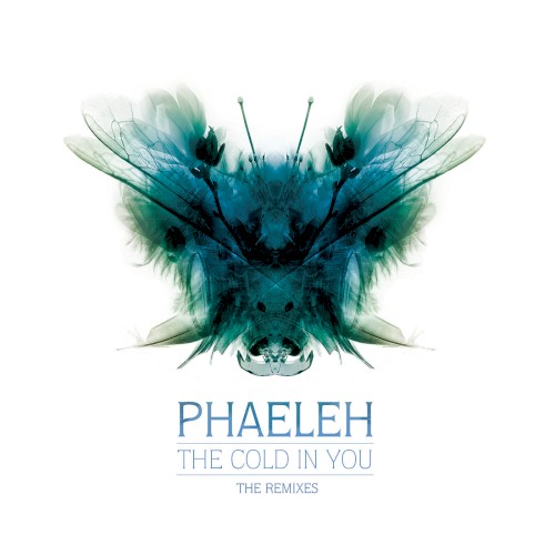 The Cold in You: The Remixes封面