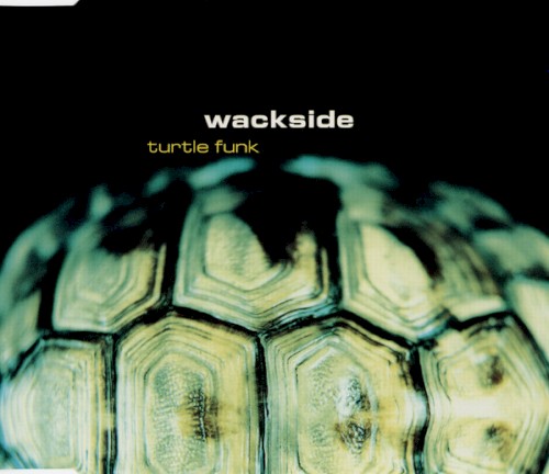 Turtle Funk封面