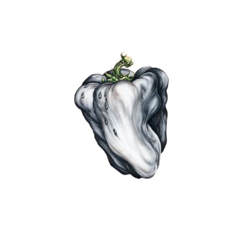 White Pepper封面