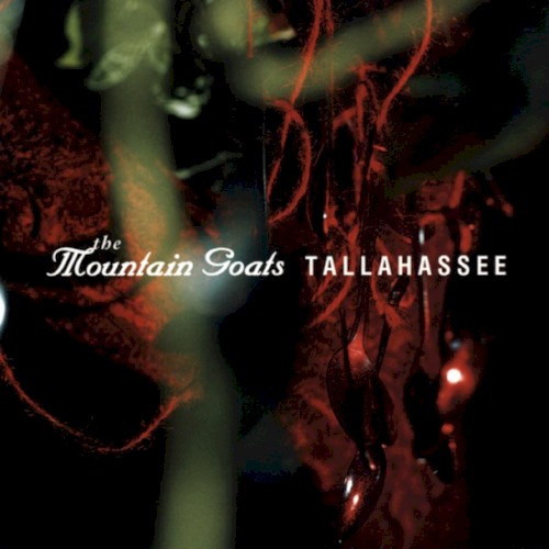 Tallahassee封面