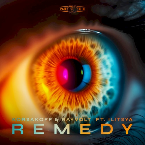 Remedy封面