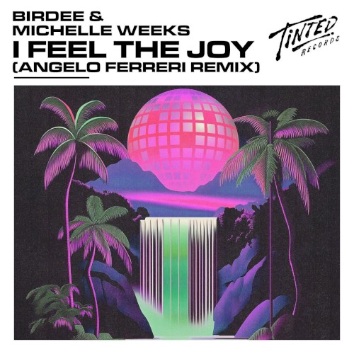 I Feel the Joy (Angelo Ferreri extended remix)封面