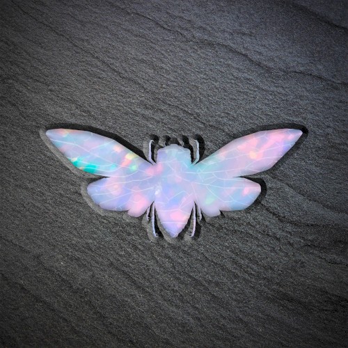Metamorphosis封面