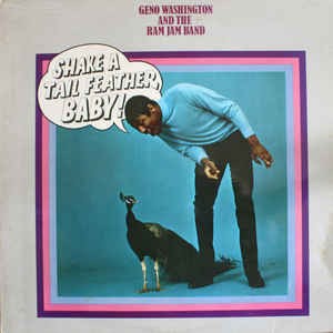 Shake A Tail Feather封面