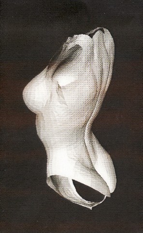 Scenes With Curved Objects封面