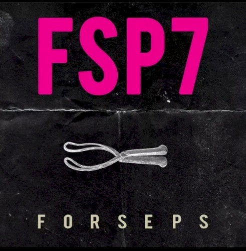 FSP7封面