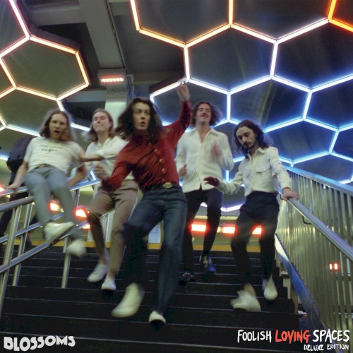 Foolish Loving Spaces封面