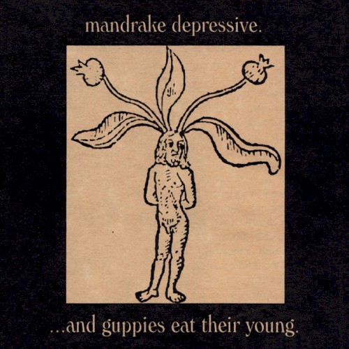 Mandrake Depressive封面