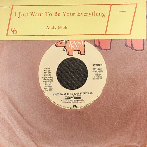 I Just Want To Be Your Everything封面