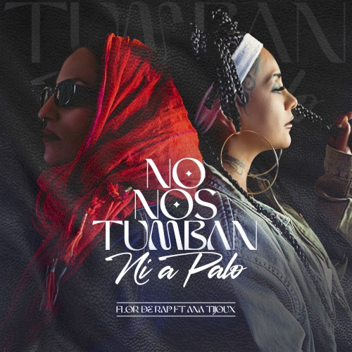 No nos tumban ni a palo封面