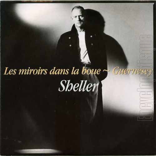Les Miroirs dans la boue封面