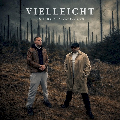 Vielleicht封面