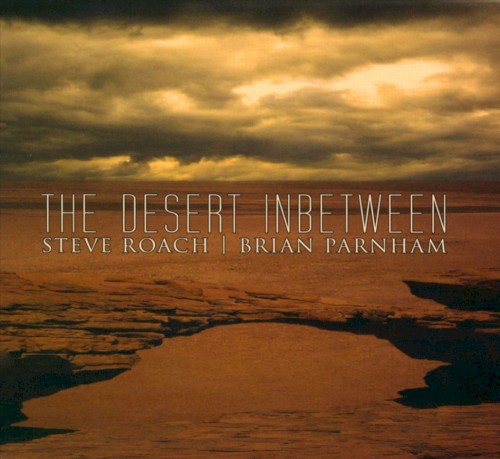 The Desert Inbetween封面