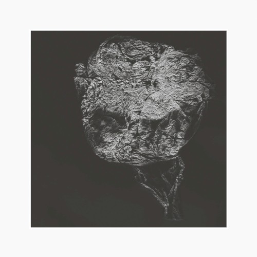 Entities Inertias Faint Beings封面