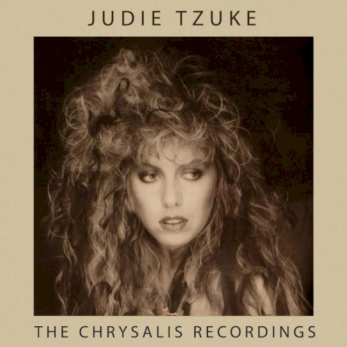 The Chrysalis Recordings封面