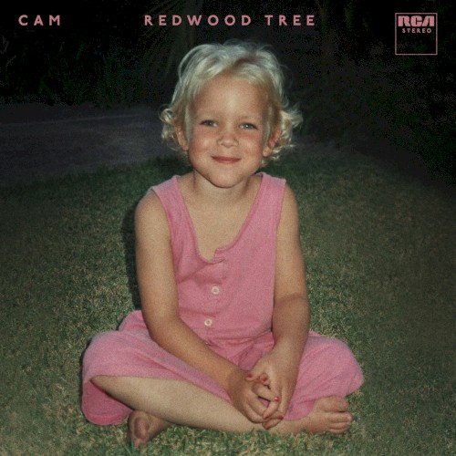 Redwood Tree封面