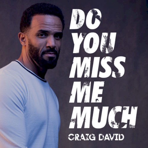 Do You Miss Me Much封面