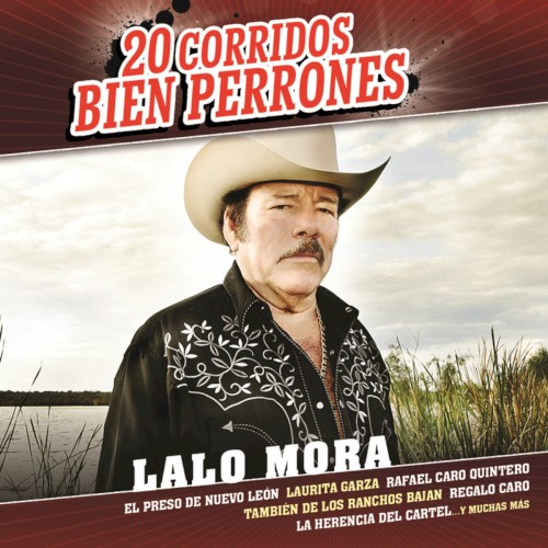 20 corridos bien perrones封面