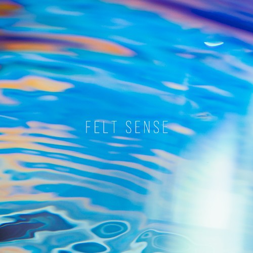 FELT SENSE封面
