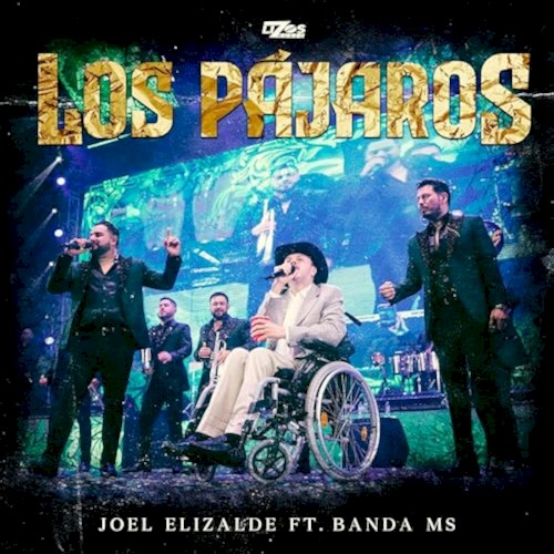 Los pájaros封面