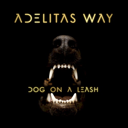 Dog on a Leash封面