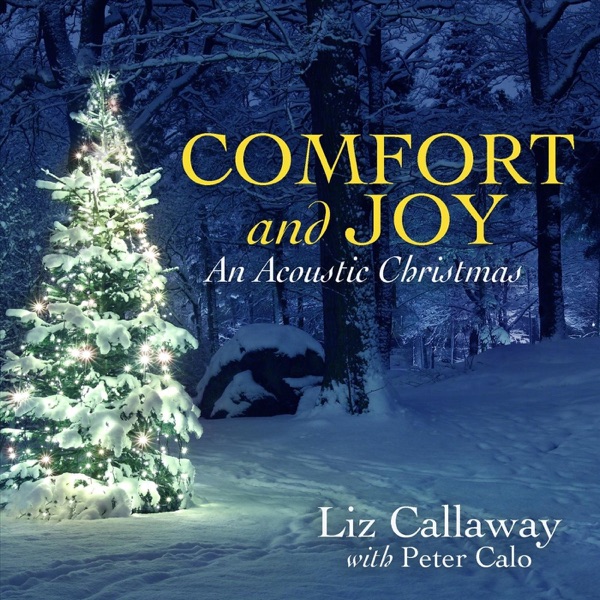 Comfort and Joy (An Acoustic Christmas)封面