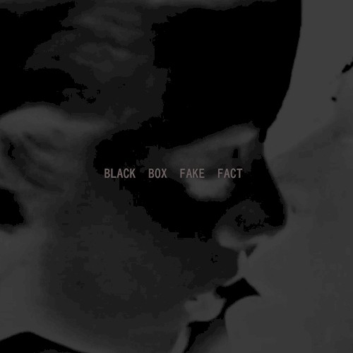 BLACK BOX FAKE FACT封面