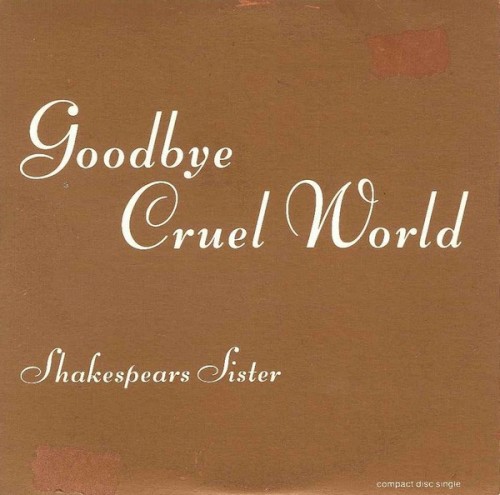Goodbye Cruel World封面