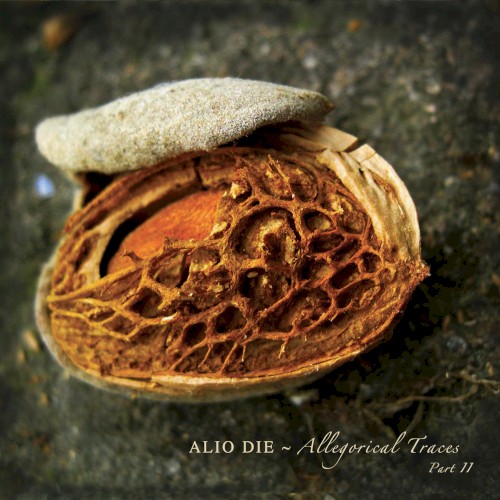 Allegorical Traces, Part II封面