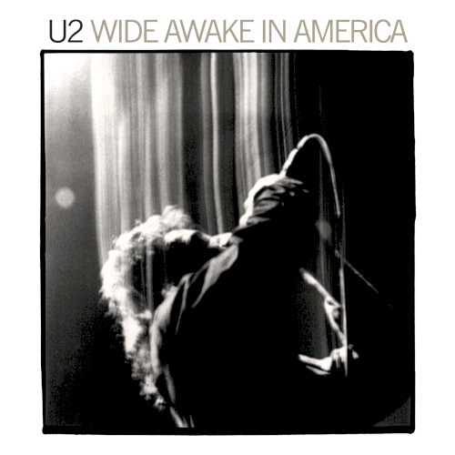 Wide Awake in America封面
