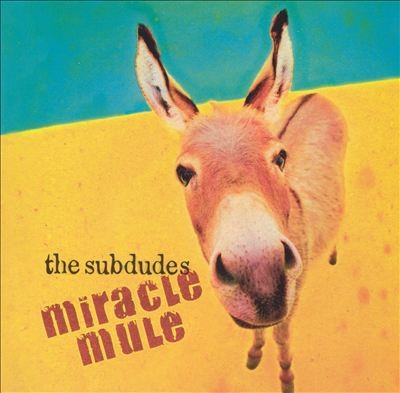 Miracle Mule封面