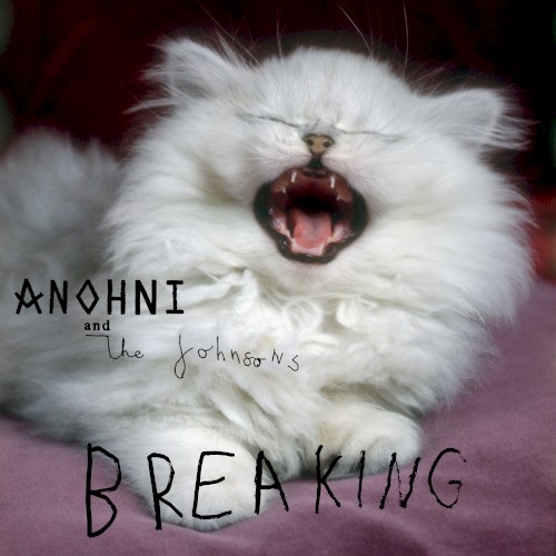 Breaking封面