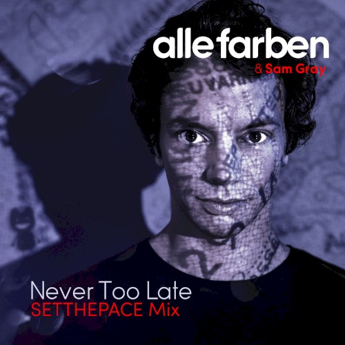 Never Too Late (SETTHEPACE mix)封面